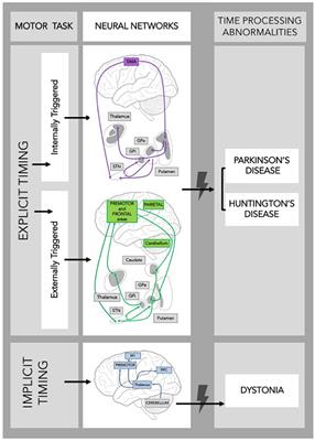 Time Processing and Motor Control in Movement Disorders